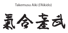 ideogram-aikido