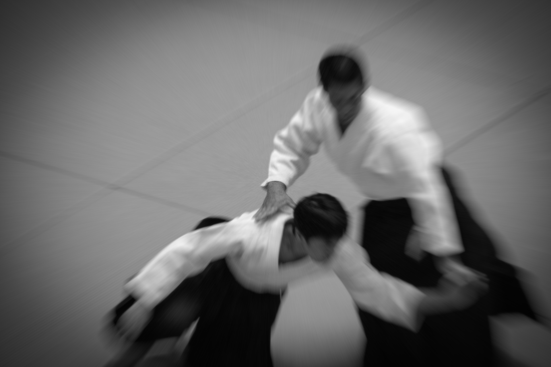 aikido vicenza dojo itto isshin